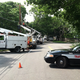 Illustration for article titled Jason Kidd Allegedly Drives Into A Telephone Pole, New Boss James Dolans Cable Company Has To Clean Up Mess